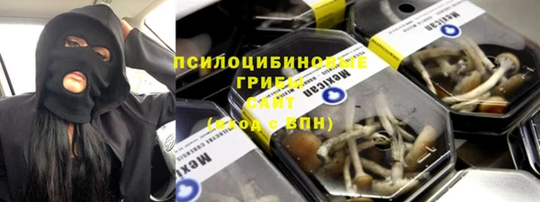 твердый Дмитров