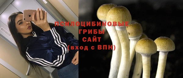 мет Дмитровск