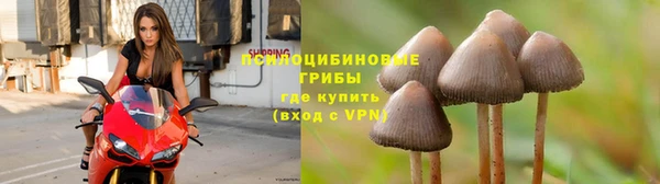 мет Дмитровск