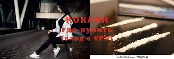 твердый Дмитров