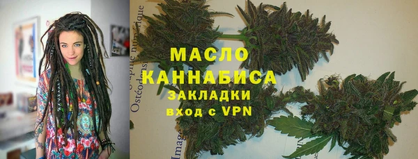 твердый Дмитров