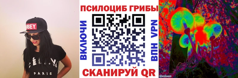 Галлюциногенные грибы Psilocybine cubensis  Купить  Ленск 